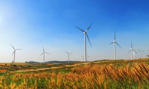 Time Consider Green Investing