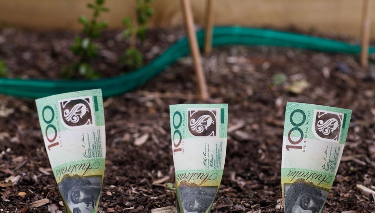 Find Your Perfect Savings Account