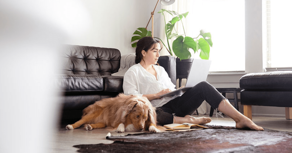 Wondering What Responsible Investing Is All About