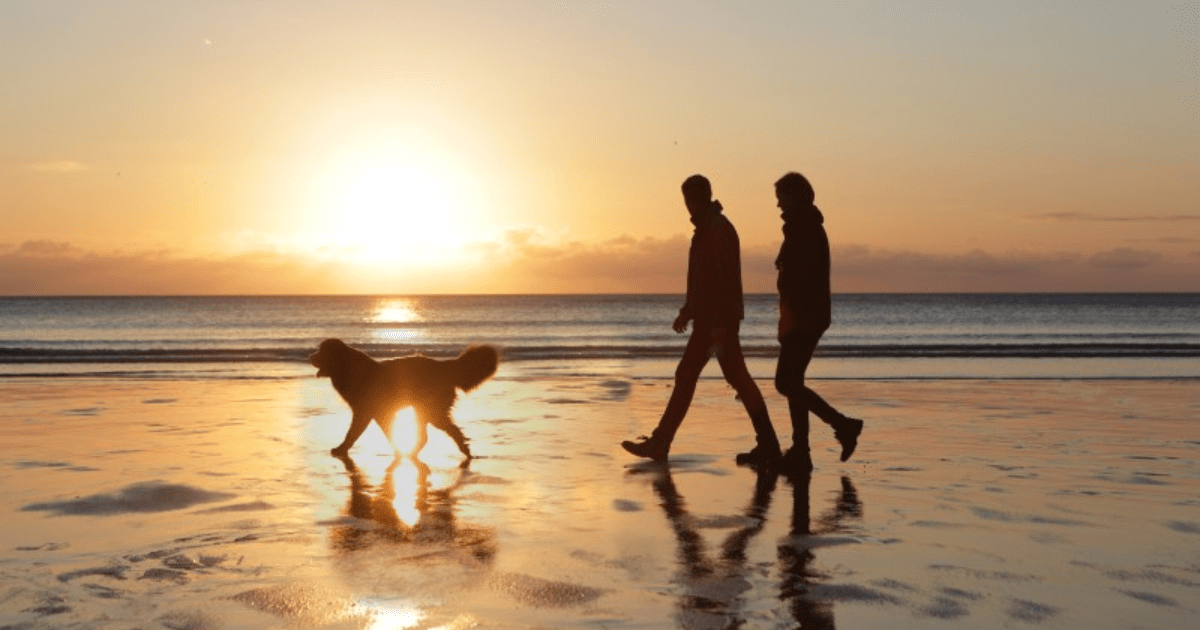 3 Golden Rules That Make Saving For Retirement Easier