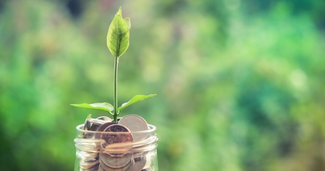 Investing For